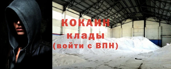 дживик Абаза