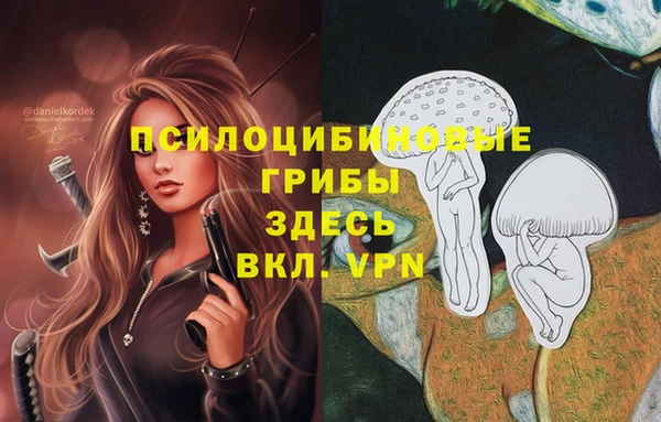 spice Лабытнанги