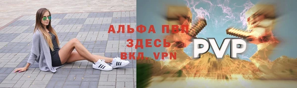 дживик Абаза