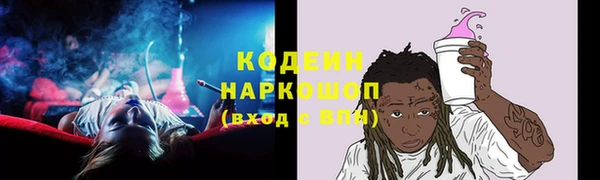 дживик Абаза